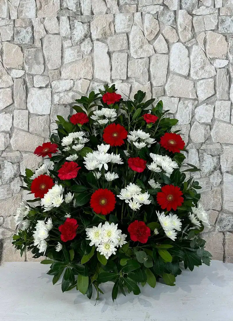 Centro funerario Nalón