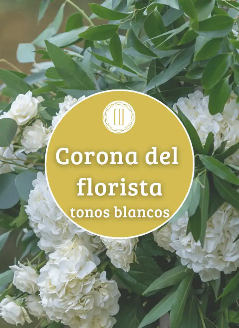 Corona del florista blanca